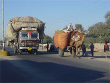 Auto e autista in india